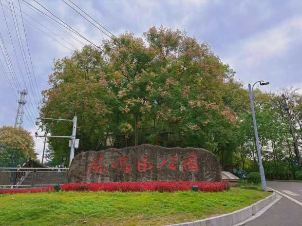 ΢��ͼƬ_20241021084210 (2).jpg